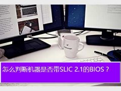 slic2.1,ôжϻǷSLIC 2.1BIOS