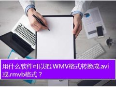 wmvתrmvb,ʲô԰.WMVʽת.avi.rmv