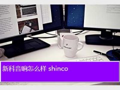 ¿ƵӼ޹˾,¿ô shinco