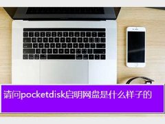 pocketdisk,pocketdiskʲôӵ