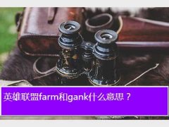 Ӣfarm,Ӣfarmgankʲô˼